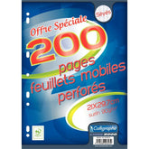 100 feuillets mobiles perforés,