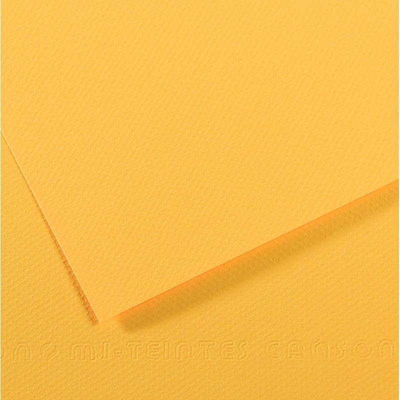 10FEUIL MI-TEINTE50X65 B/OR